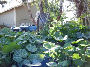 A beautiful end to a busy day