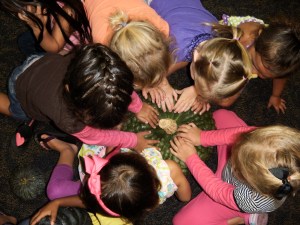 OLYMPUS DIGITAL CAMERA