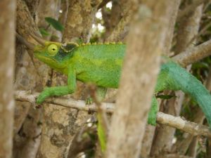 Building Habitat too...