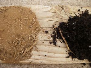 Before and after soil images...7 months to turn 1/4 acre into black gold