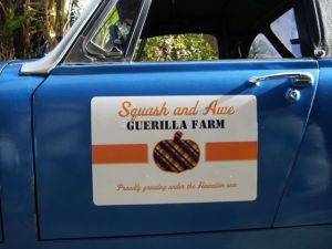 My beloved "squash mobile" with snazzy signage 