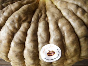 Marina di Chioggia Ready to Go