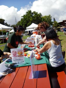 The tomato judging begins