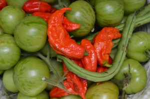 Ghosts warn you of heat with color and a strong scent