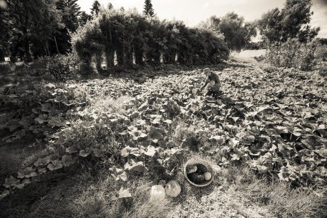 114_Squash&amp;Awe_charlaphotography